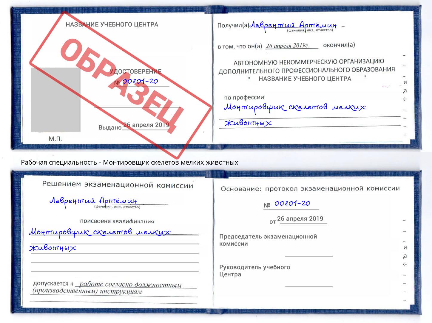 Монтировщик скелетов мелких животных Узловая