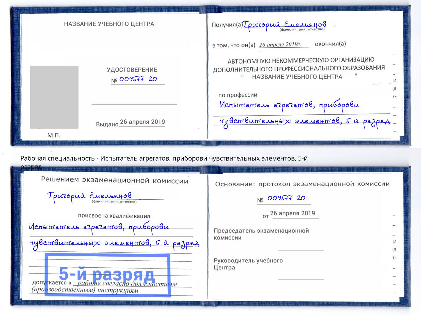 корочка 5-й разряд Испытатель агрегатов, приборови чувствительных элементов Узловая
