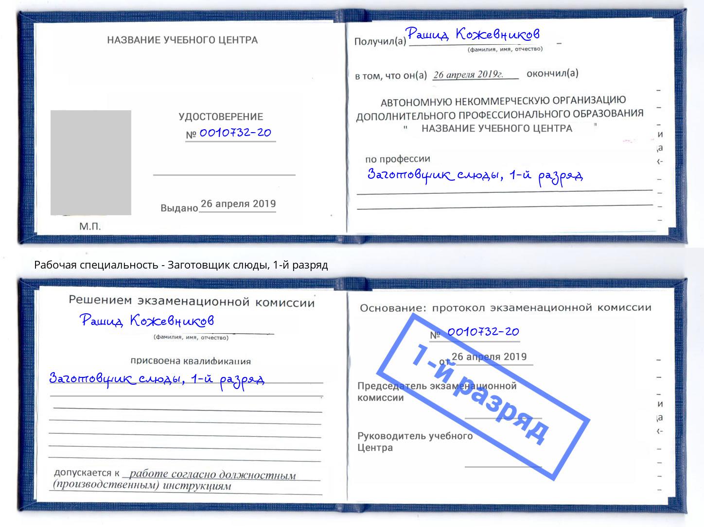 корочка 1-й разряд Заготовщик слюды Узловая
