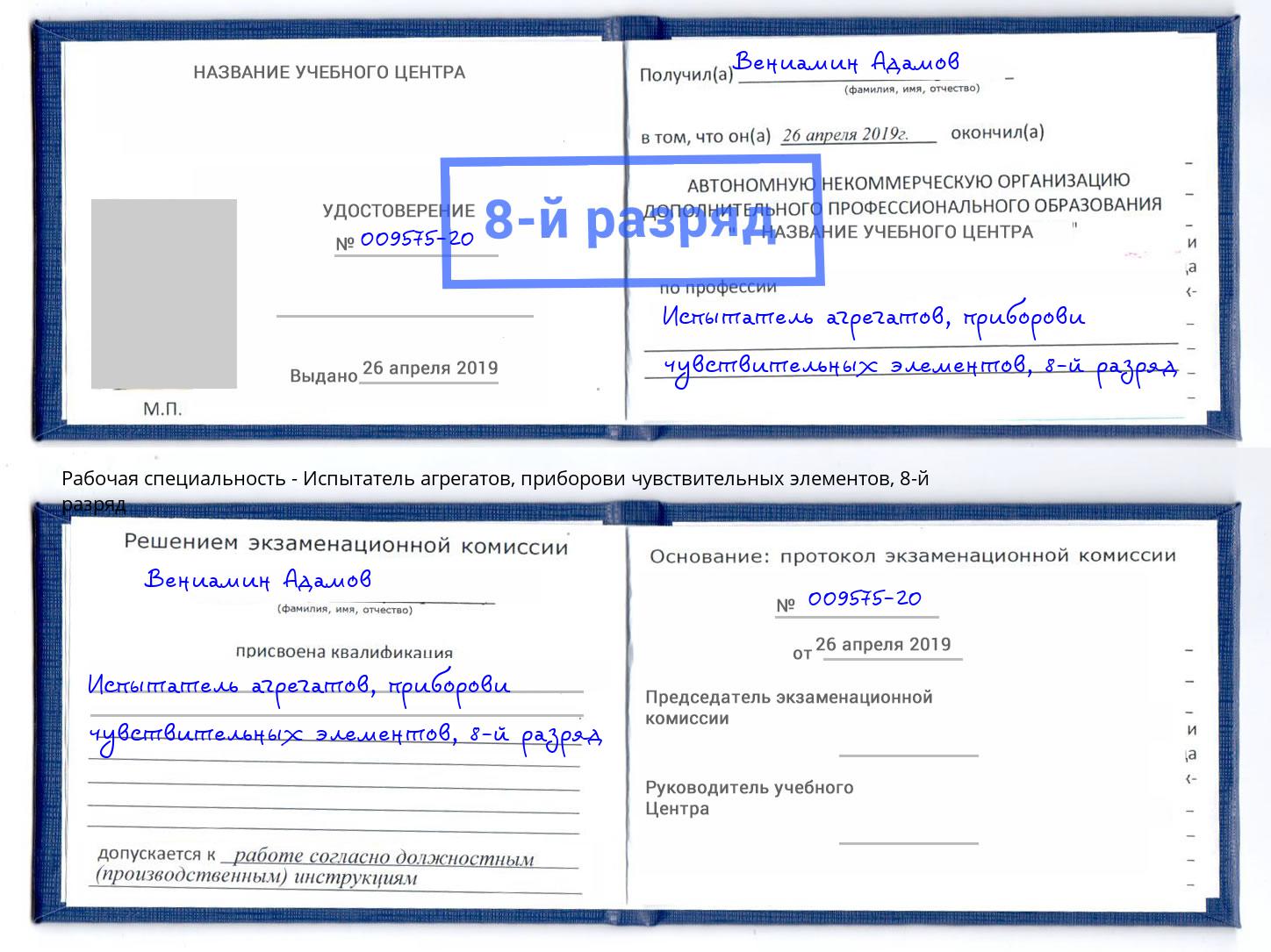 корочка 8-й разряд Испытатель агрегатов, приборови чувствительных элементов Узловая